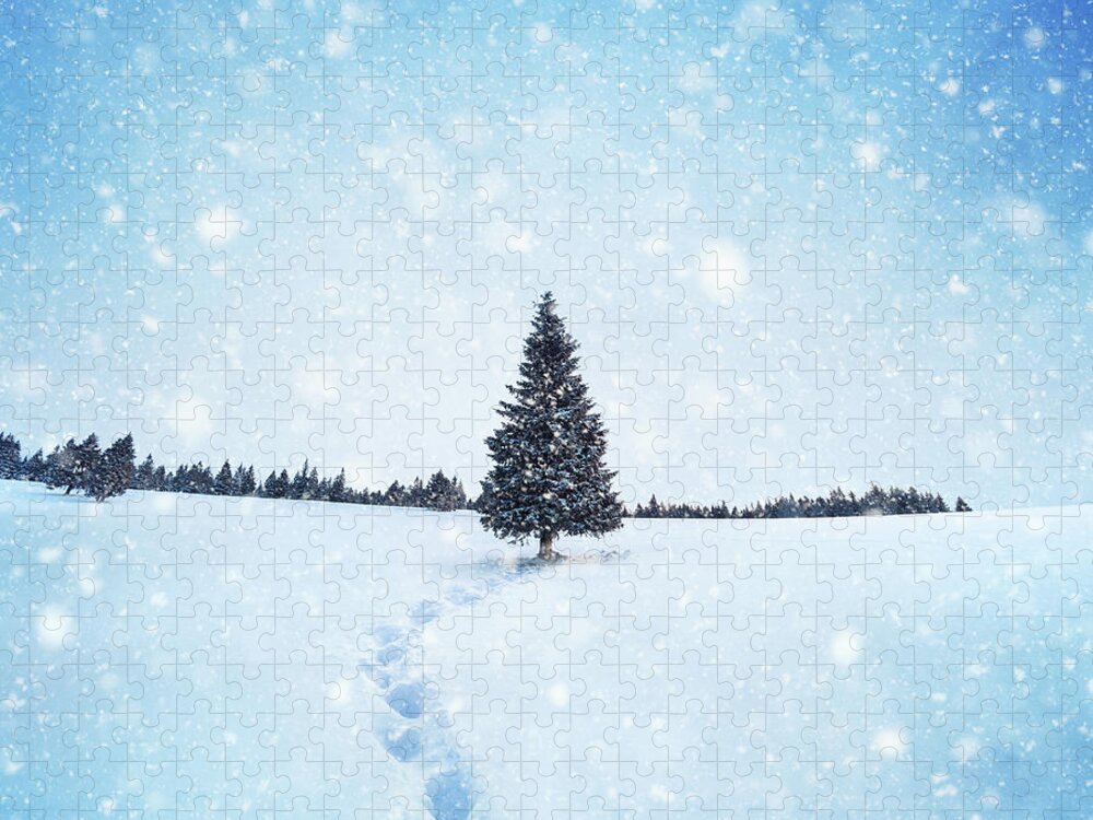 Scenics Jigsaw Puzzle featuring the photograph Winter Tree by Borchee