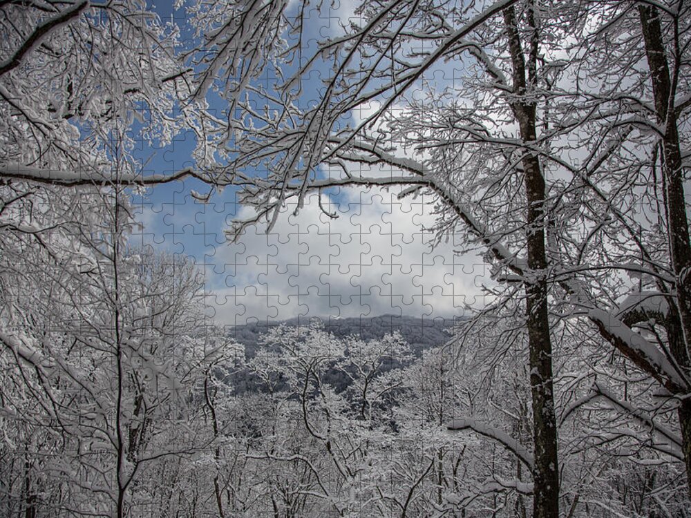 Tree Jigsaw Puzzle featuring the photograph Winter Window Wonder by John Haldane