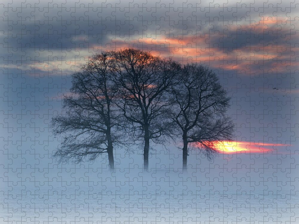 Scenics Jigsaw Puzzle featuring the photograph Winterlandscape by Dewollewei
