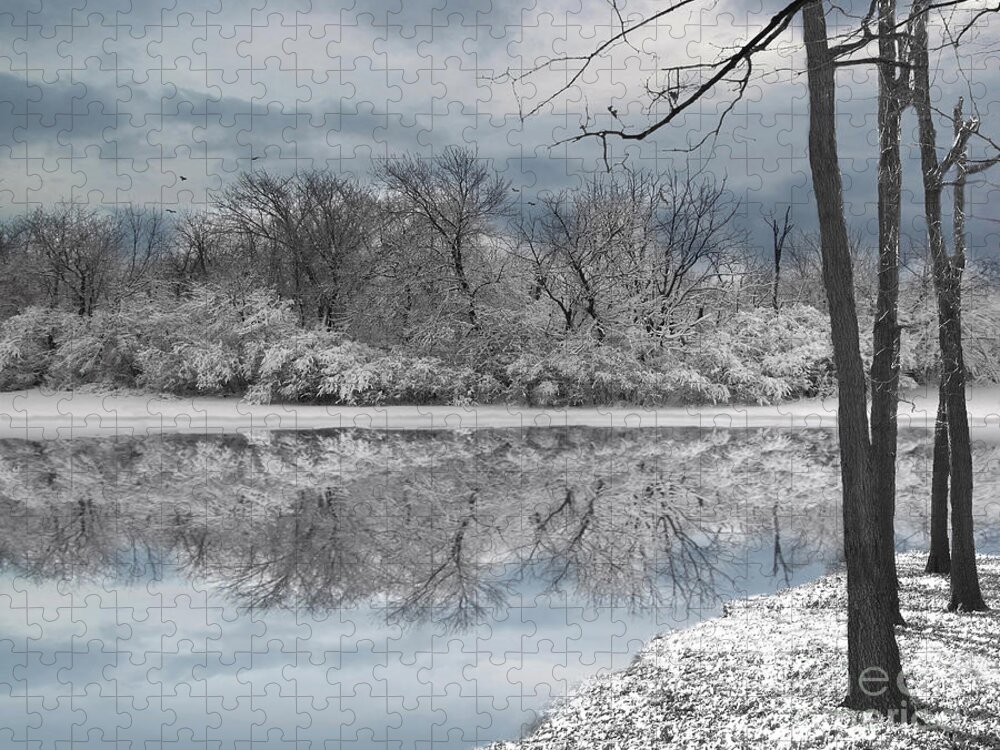 Winter Landscape Jigsaw Puzzle featuring the photograph Winters Delight 6 by Cedric Hampton