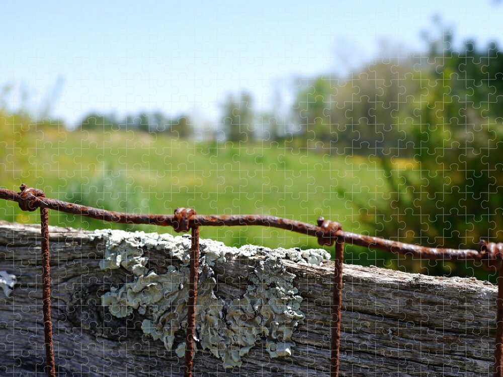 Wire Jigsaw Puzzle featuring the photograph Wire and Lichen by Richard Reeve