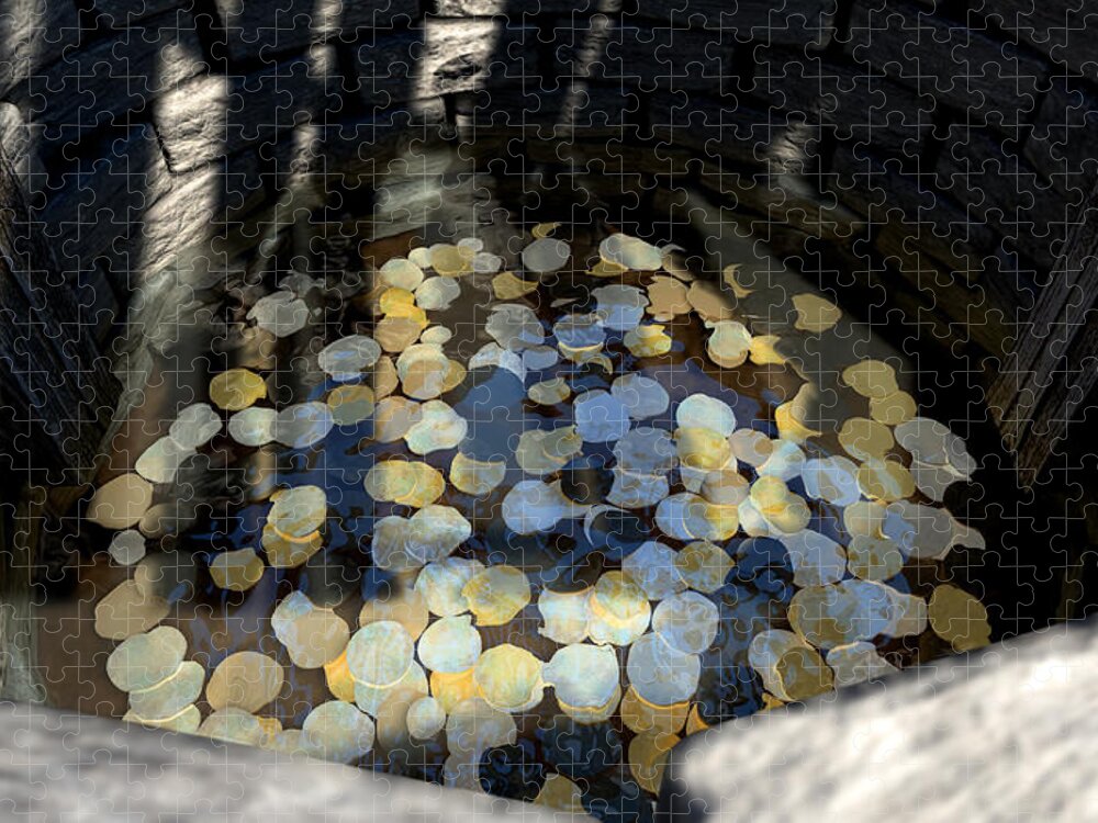 Wishing Well With Coins Perspective Jigsaw Puzzle by Allan Swart - Pixels  Puzzles