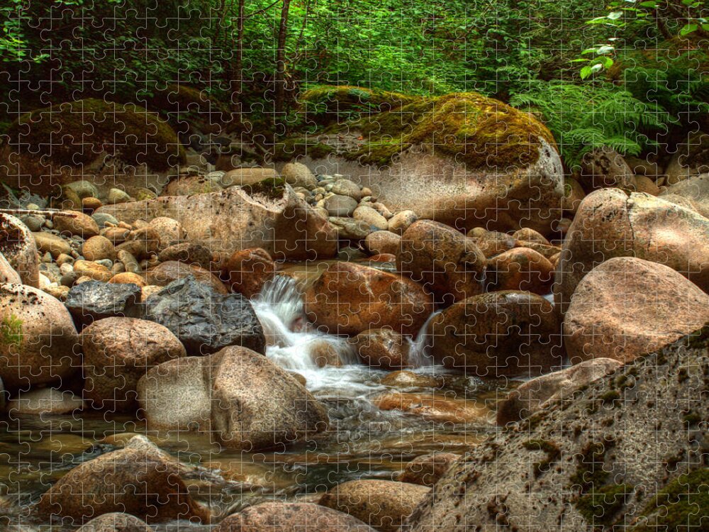 Water Jigsaw Puzzle featuring the photograph Woodland Waters by Randy Hall