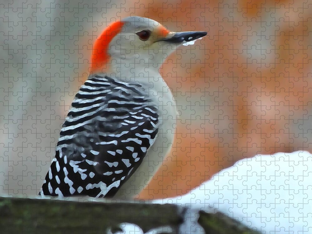 Birds Jigsaw Puzzle featuring the photograph Woodpecker in Winter by David T Wilkinson