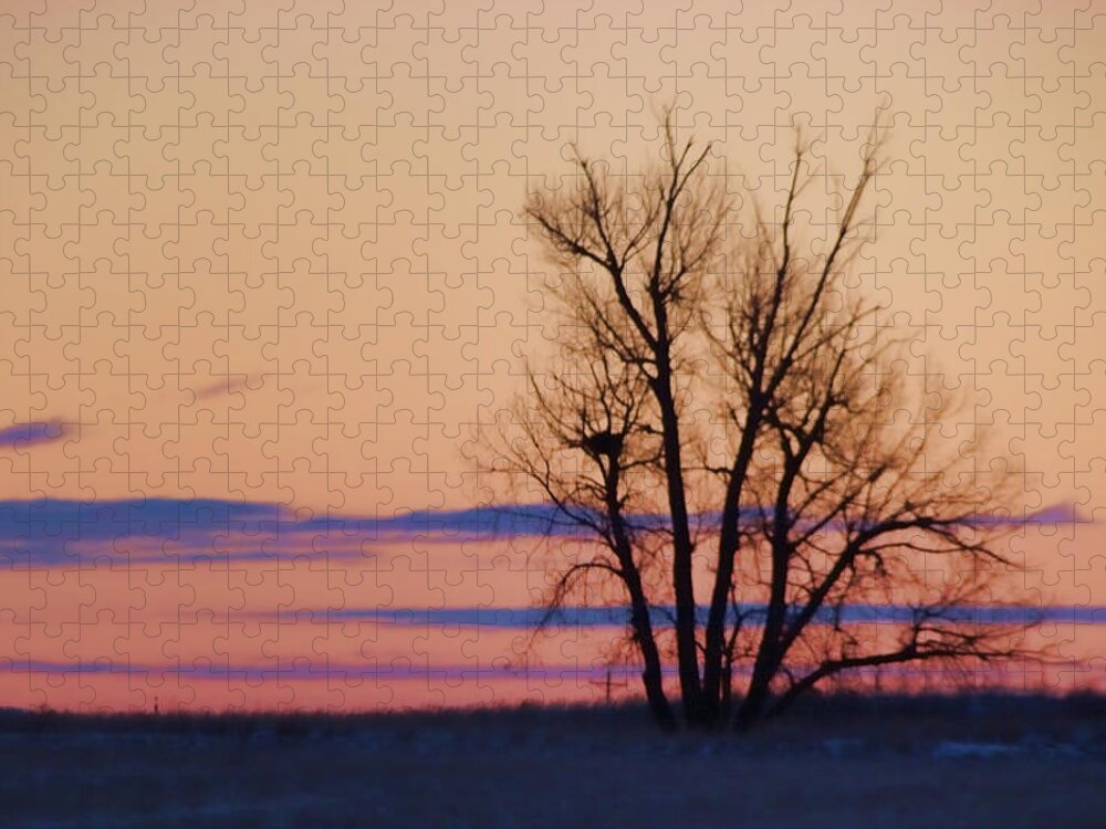 Silhouette Jigsaw Puzzle featuring the photograph Wyoming Tree by Cathy Anderson