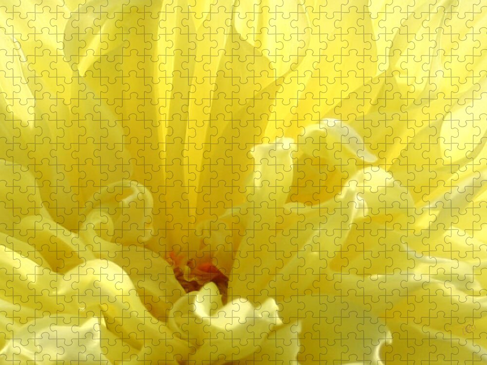 Floral Abstract Jigsaw Puzzle featuring the photograph Yellow Dahlia Burst by Ben and Raisa Gertsberg