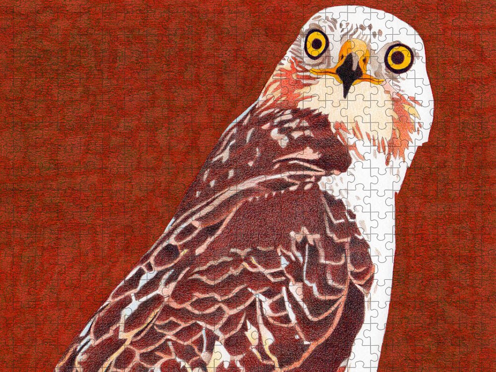 Art Jigsaw Puzzle featuring the drawing Yellow Eyed Hawk by Dan Miller