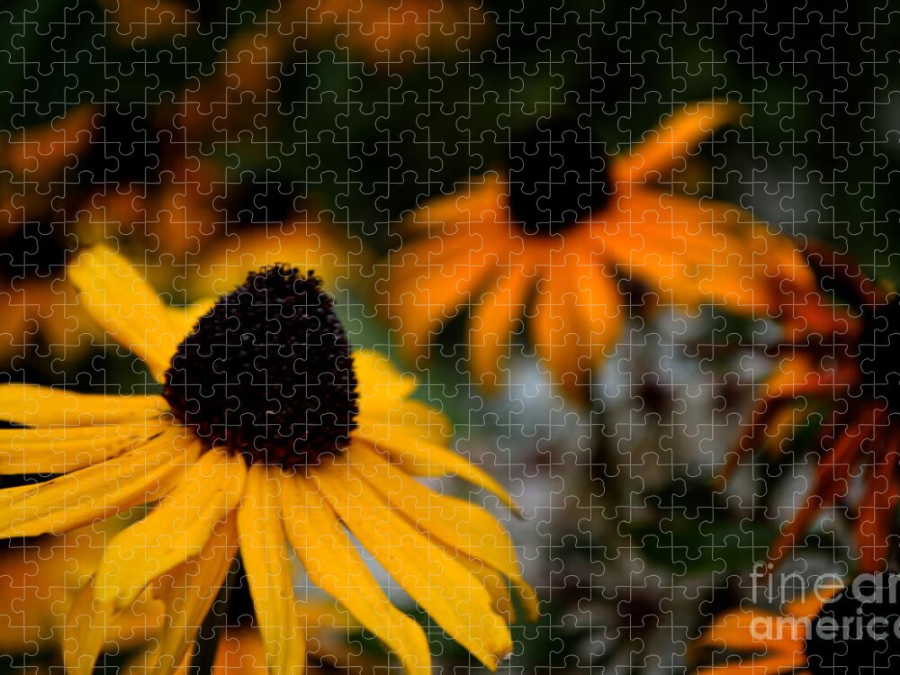 Yellow Jigsaw Puzzle featuring the photograph Yellow Flower Vignette by Scott Lyons
