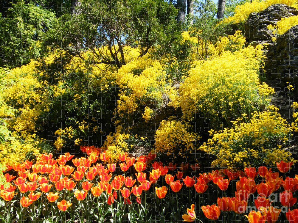 Botanical Garden Jigsaw Puzzle featuring the photograph Yellow Orange - Springtime by Phil Banks