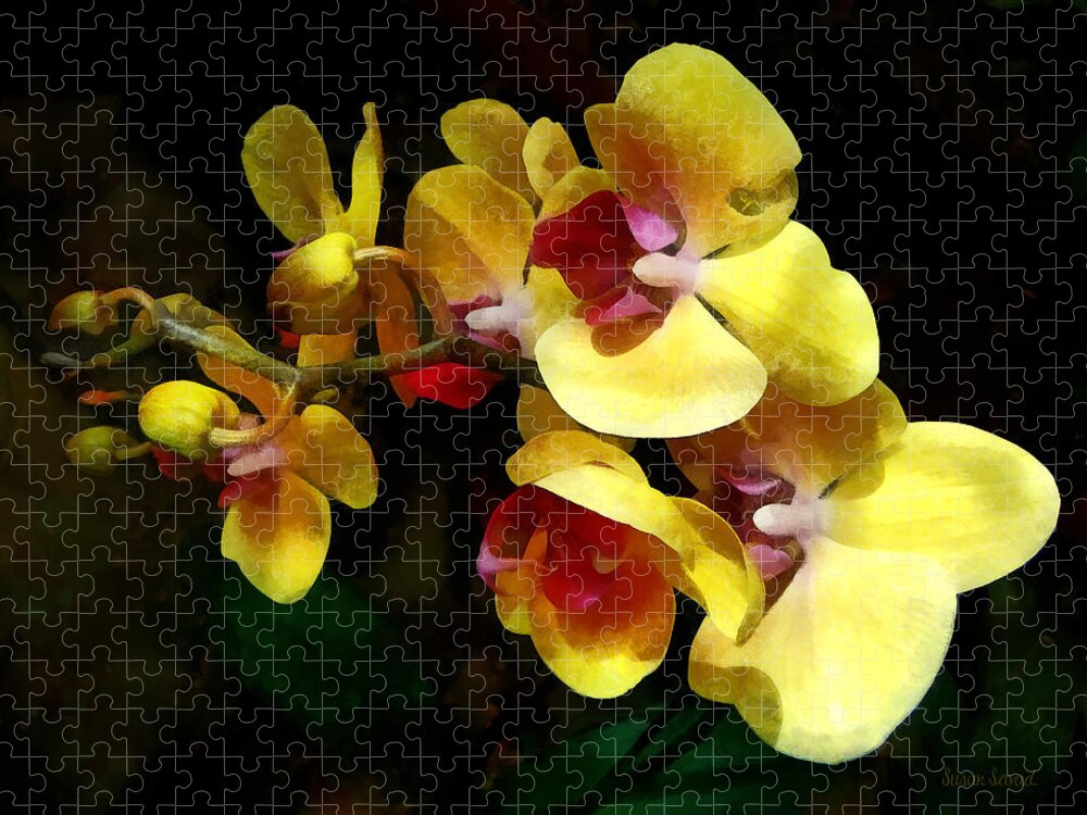 Orchid Jigsaw Puzzle featuring the photograph Yellow Orchids Shadow and Light by Susan Savad