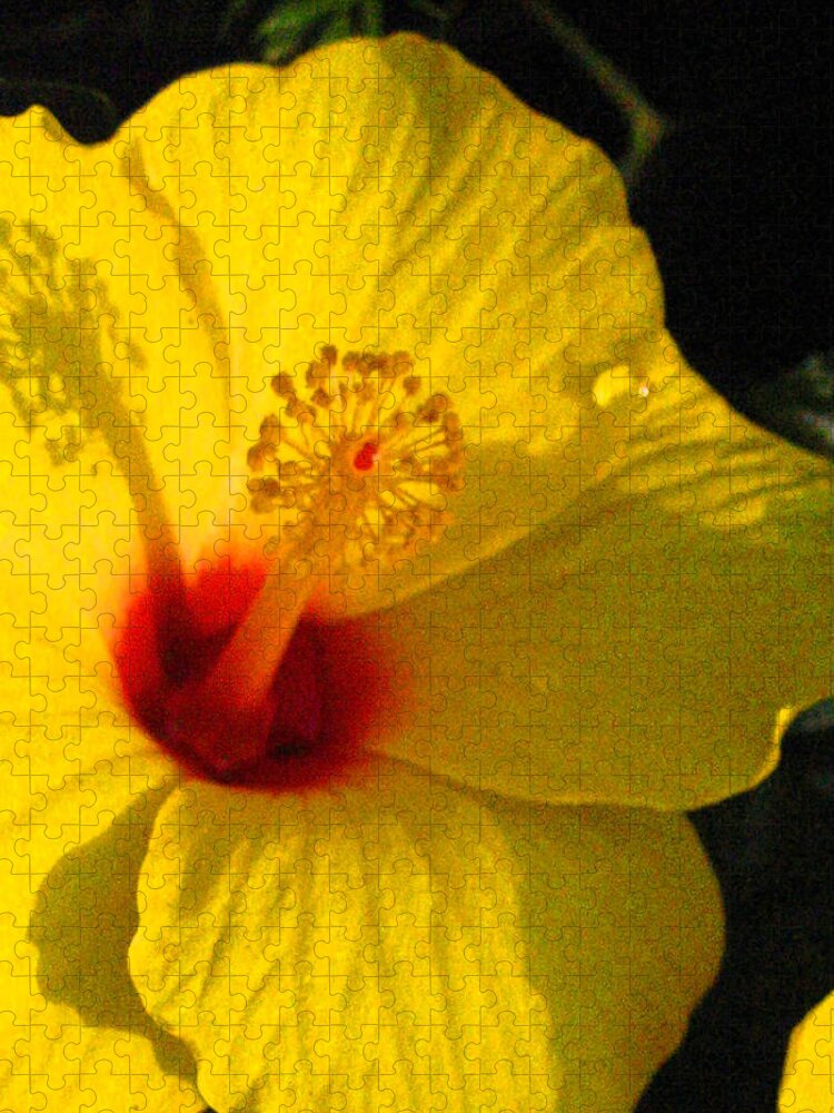 Giant Yellow And Red Hibiscus Jigsaw Puzzle featuring the digital art Yellow Satellite by Pamela Smale Williams