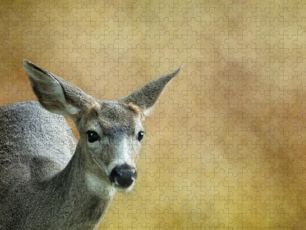 Deer Jigsaw Puzzle featuring the photograph Young Buck by Belinda Greb