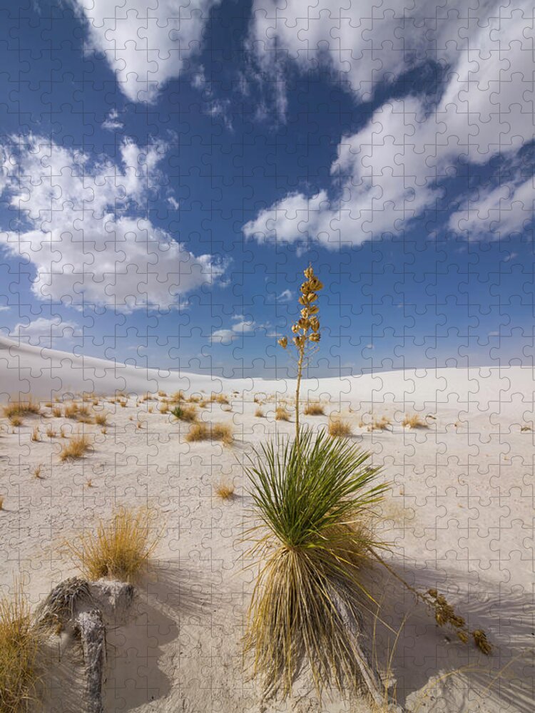 00559170 Jigsaw Puzzle featuring the photograph Yucca Growing On Dune In White Sands N by 