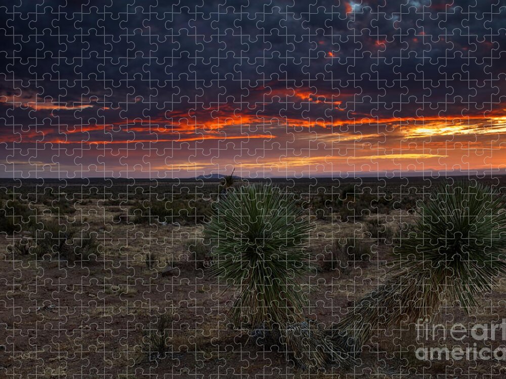 Yucca Jigsaw Puzzle featuring the photograph Yucca Sunset by Michael Dawson