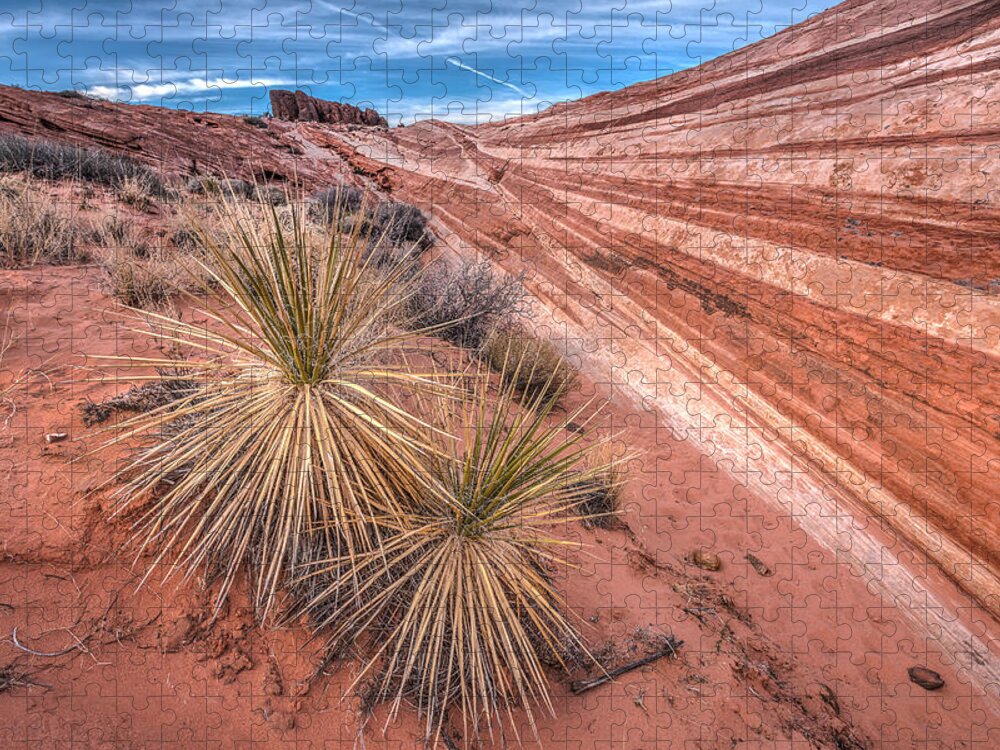 Canyon Jigsaw Puzzle featuring the photograph Yucca Valley by Peter Tellone
