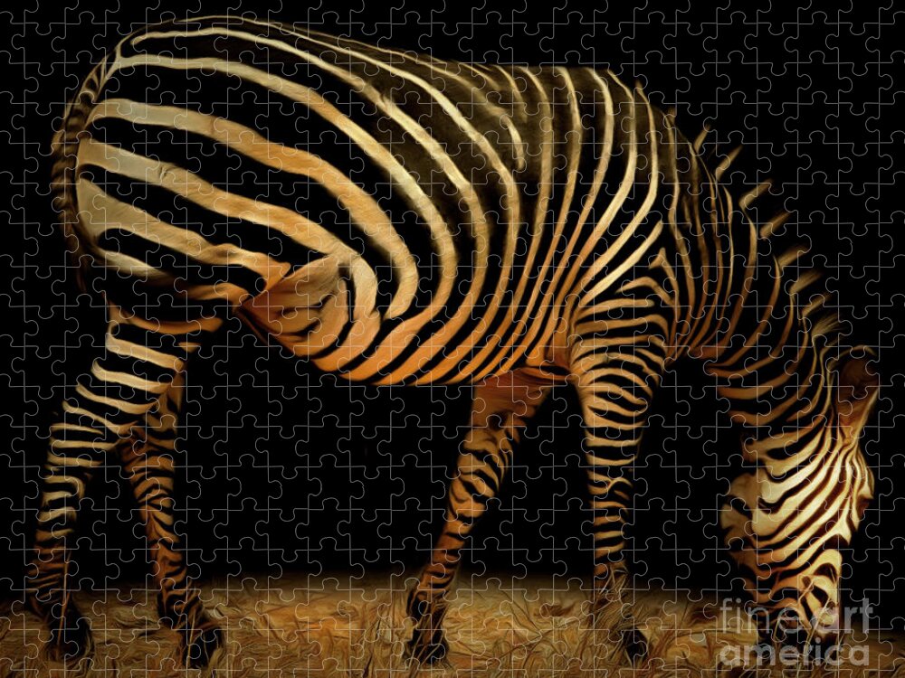 Zebra Jigsaw Puzzle featuring the photograph Zebra 20150210brun by Wingsdomain Art and Photography