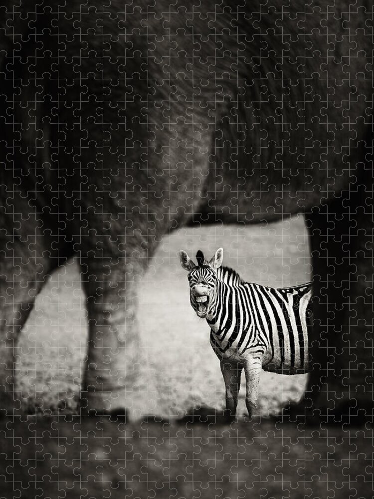 Wild Jigsaw Puzzle featuring the photograph Zebra barking by Johan Swanepoel