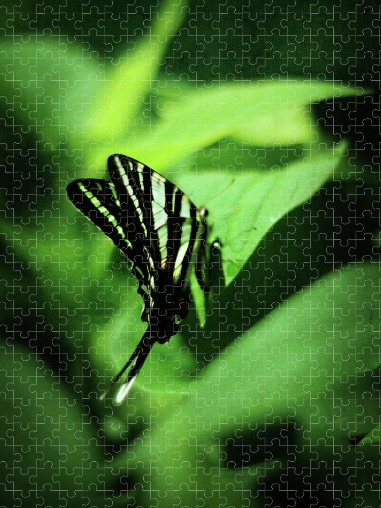 zebra Swallowtail Jigsaw Puzzle featuring the photograph Zebra Swallowtail Butterfly by Rebecca Sherman