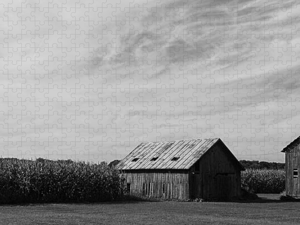 Barns Jigsaw Puzzle featuring the photograph Zink Rd Farm 2 in Black and White by Daniel Thompson