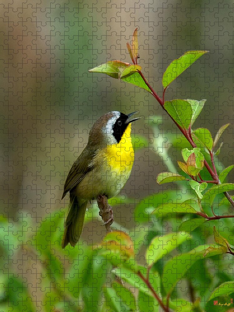 Nature Jigsaw Puzzle featuring the photograph Common Yellowthroat Warbler Warbling DSB006 by Gerry Gantt