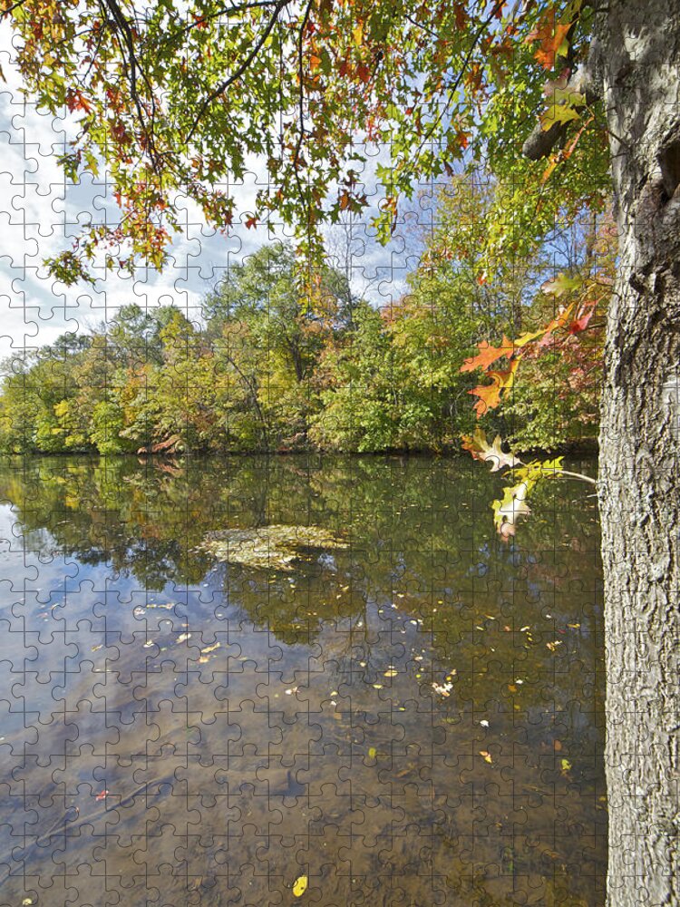 Autumn Jigsaw Puzzle featuring the photograph Autumn Colors on the Canal #1 by David Letts