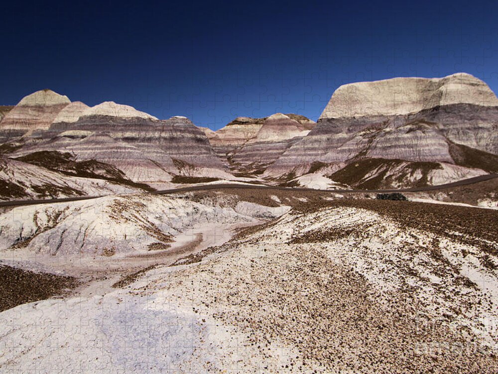Petrified Forest National Park Jigsaw Puzzle featuring the photograph Blue Mesa Landscape #1 by Adam Jewell
