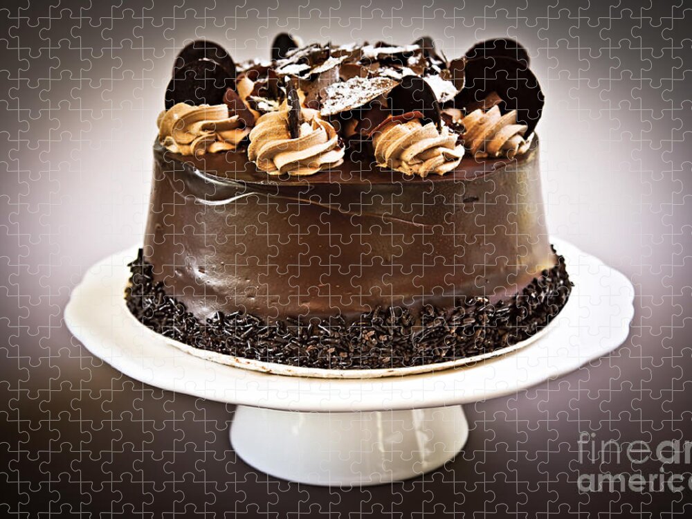 Cake Jigsaw Puzzle featuring the photograph Chocolate cake 3 by Elena Elisseeva