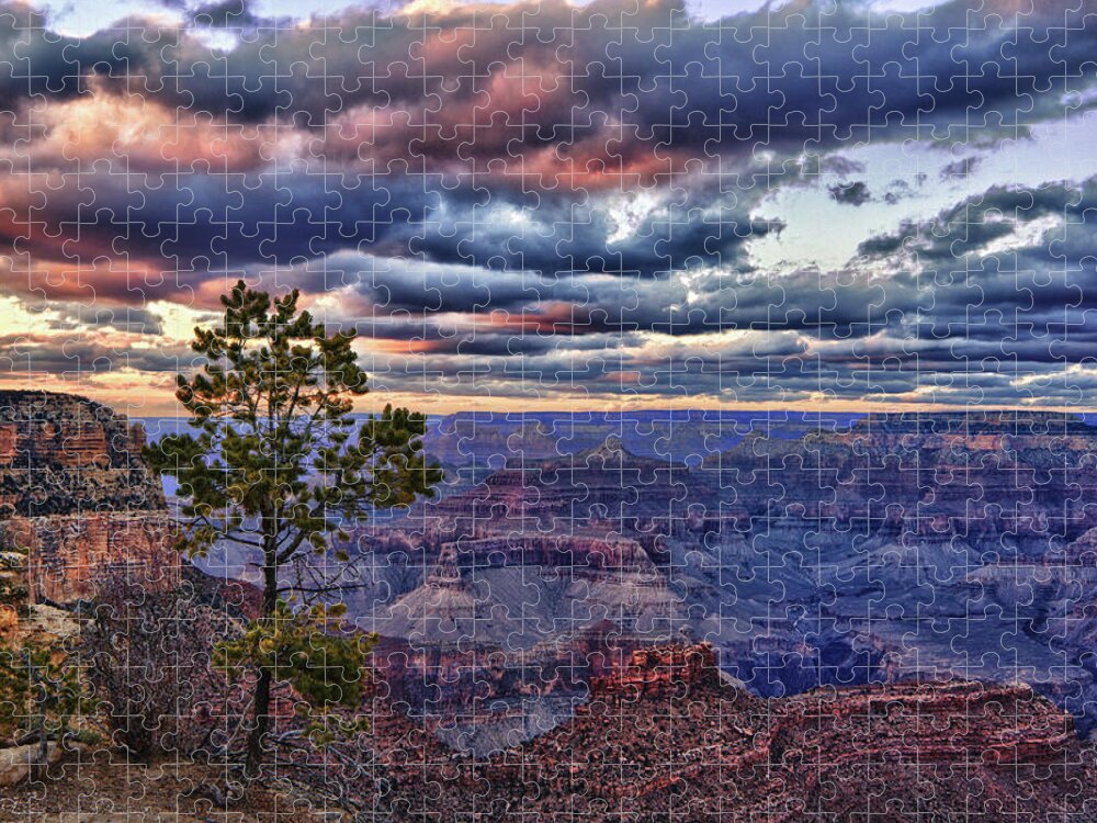 Landscape Jigsaw Puzzle featuring the photograph Evening Light #1 by Beth Sargent