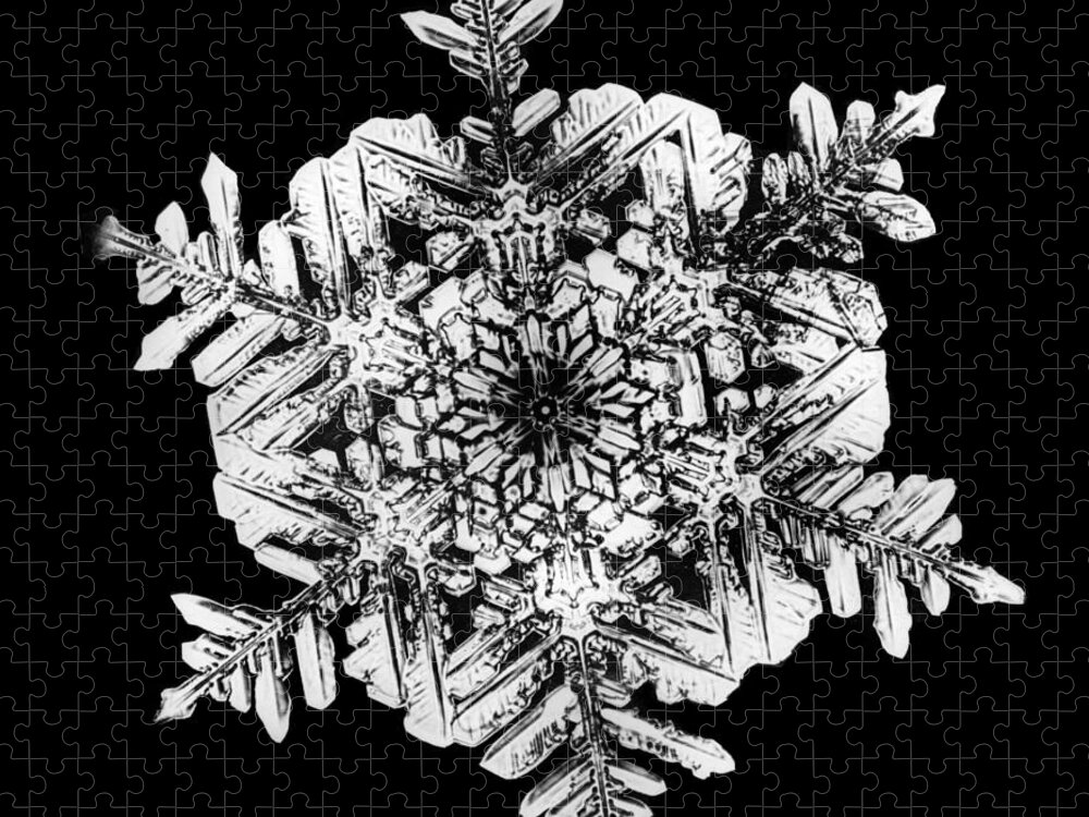 Snowflake Jigsaw Puzzle featuring the photograph Snowflake #1 by Science Source