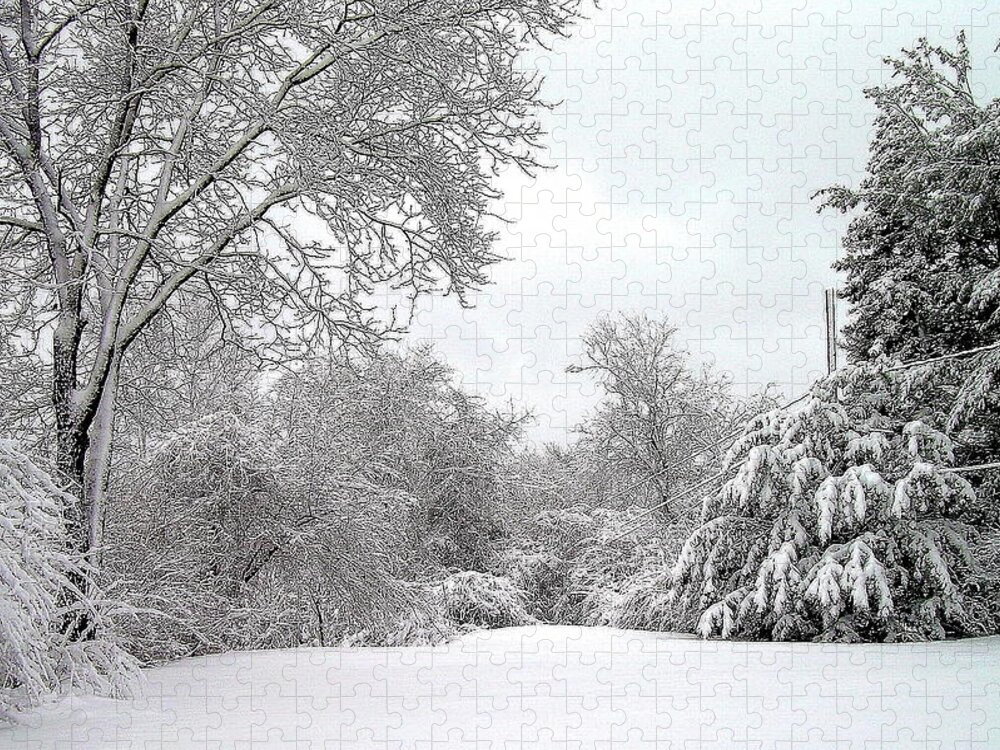 Snow Jigsaw Puzzle featuring the photograph Still by Jeff Heimlich