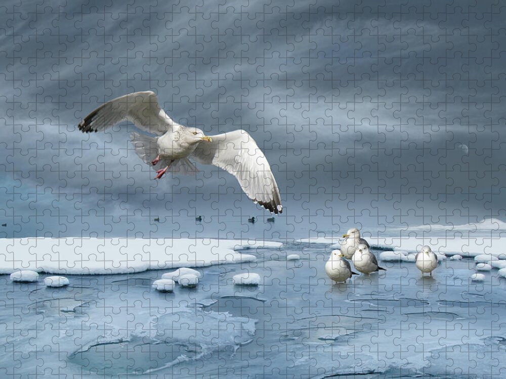 Blue Jigsaw Puzzle featuring the photograph Thin Ice #1 by John Poon