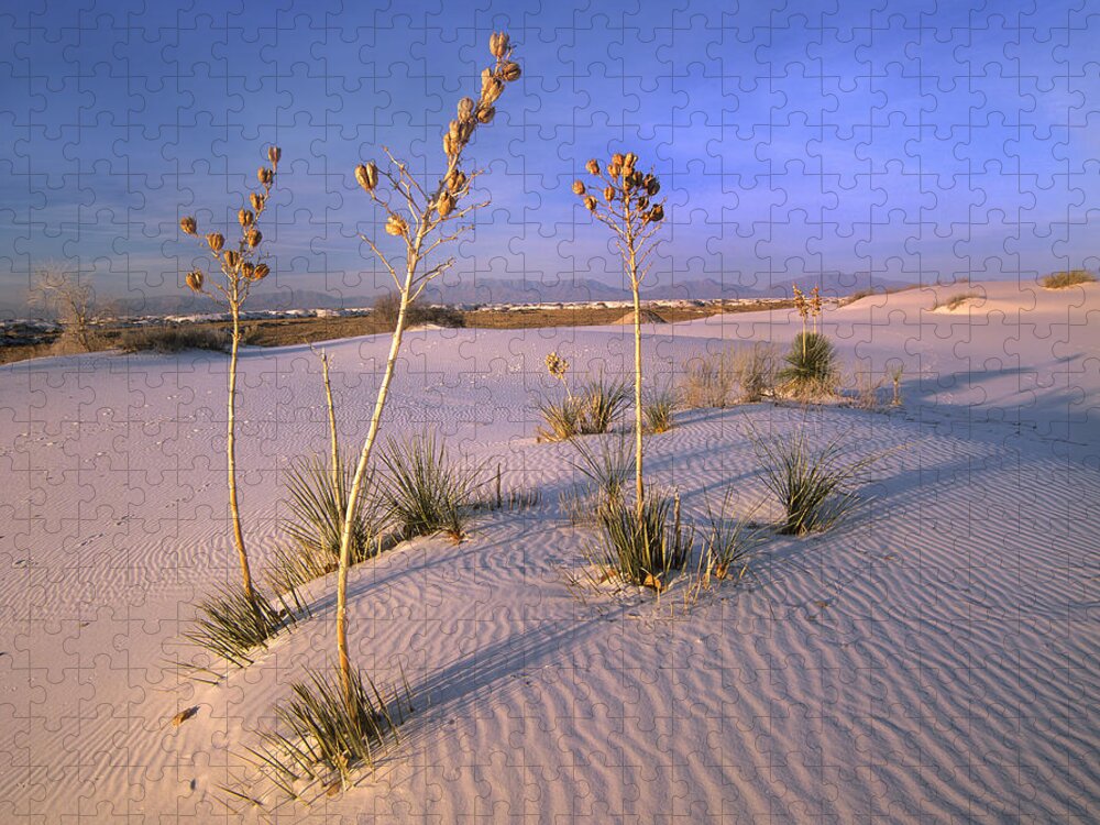 00176857 Jigsaw Puzzle featuring the photograph White Sands National Monument New Mexico #1 by Tim Fitzharris