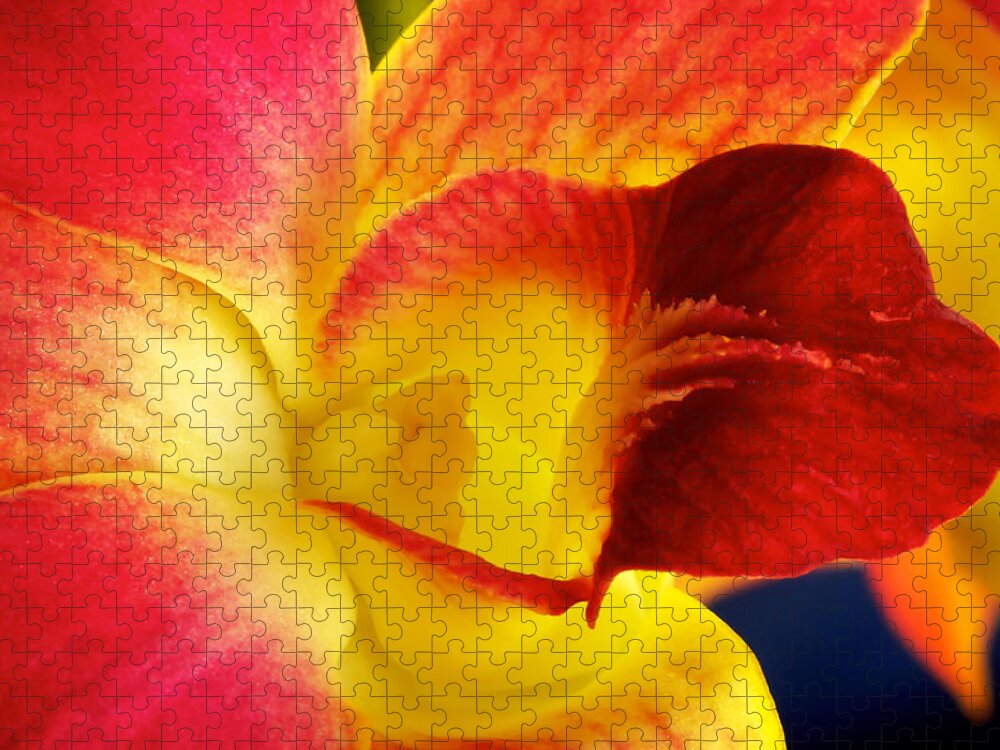 Dendrobium Jigsaw Puzzle featuring the photograph Dendribium malone or Hope orchid Flower #2 by Perla Copernik