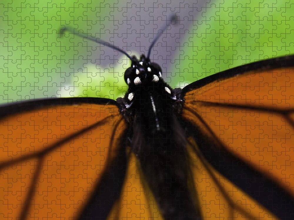Monarch Jigsaw Puzzle featuring the photograph Monarch #2 by Perla Copernik