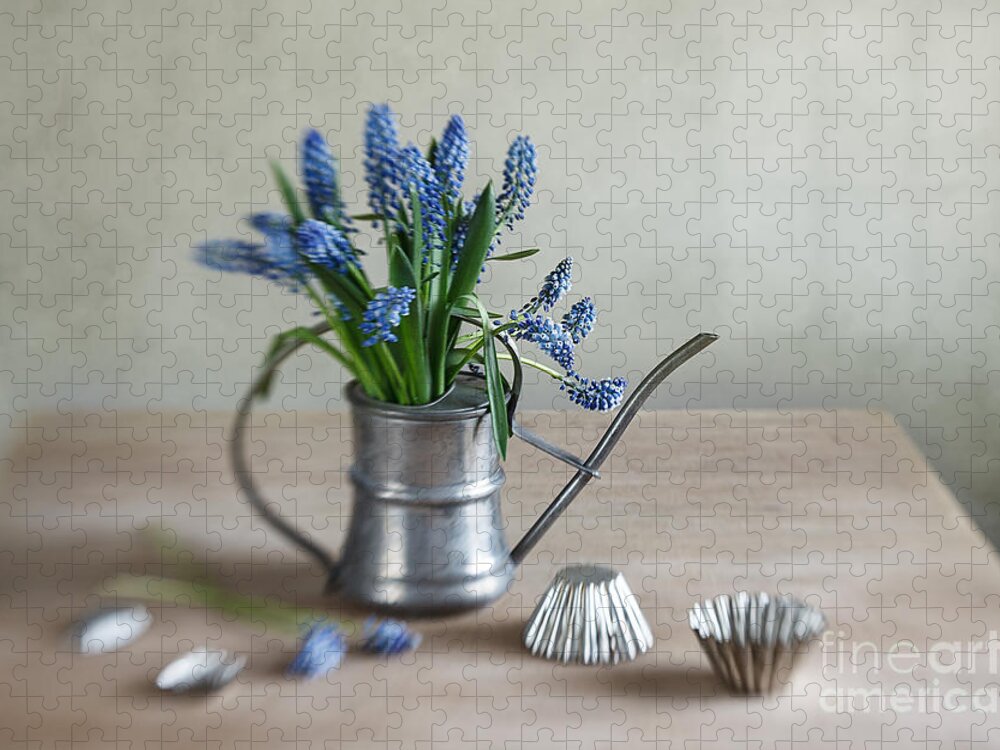 Metal Jigsaw Puzzle featuring the photograph Still life with grape hyacinths #3 by Nailia Schwarz