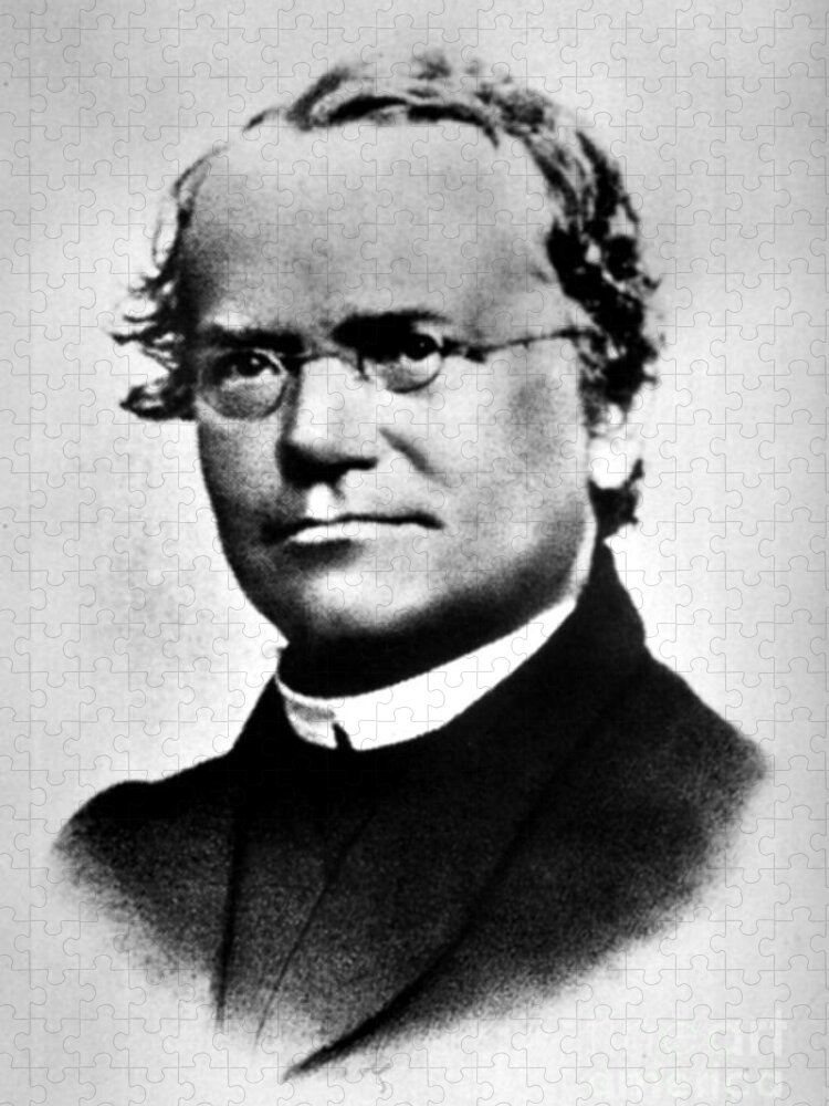 Science Jigsaw Puzzle featuring the photograph Gregor Mendel, Father Of Genetics #7 by Science Source