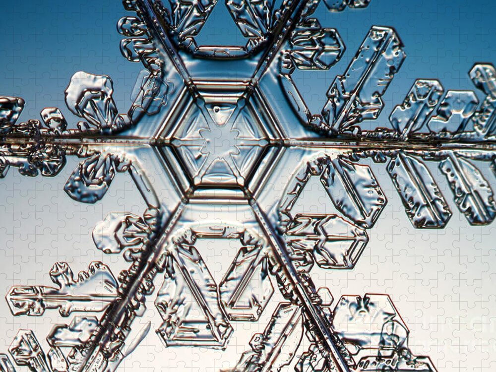 Snowflake Jigsaw Puzzle featuring the photograph Snowflake #75 by Ted Kinsman