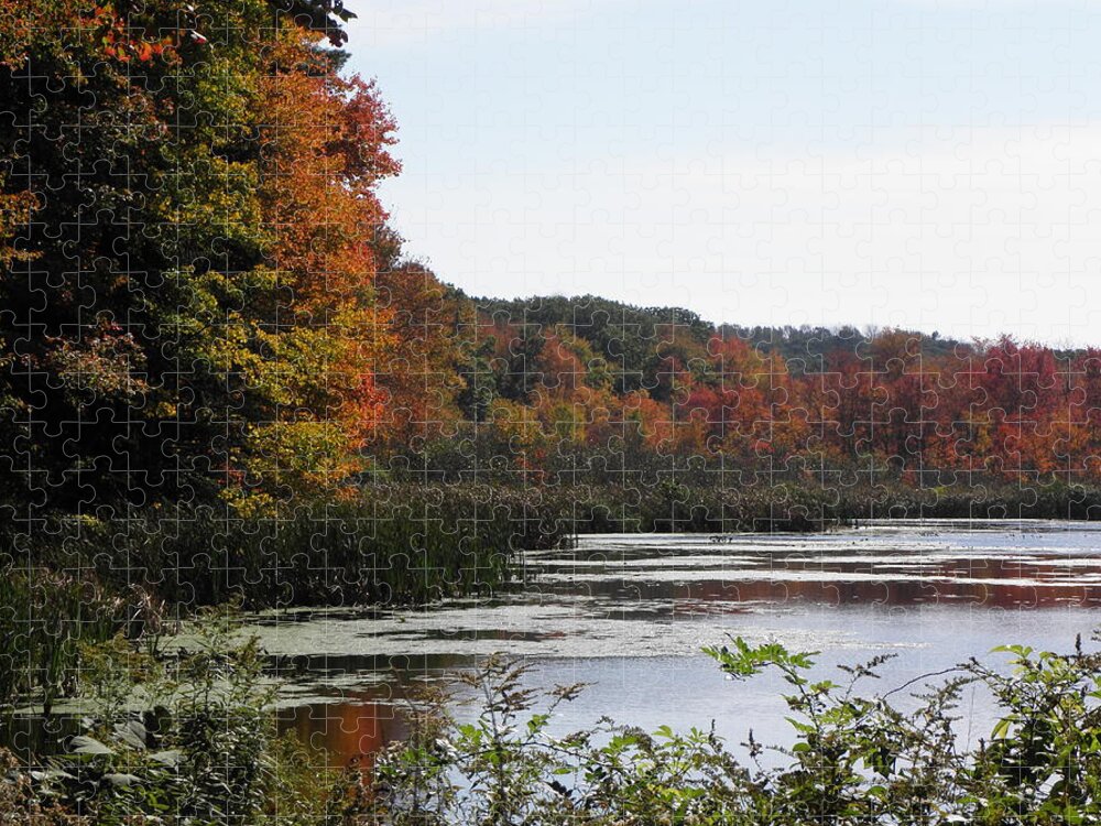 Fall Jigsaw Puzzle featuring the photograph A Curve Of Color by Kim Galluzzo