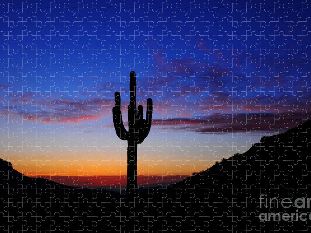 Desert Jigsaw Puzzle featuring the photograph A Desert Sunset by Vivian Christopher