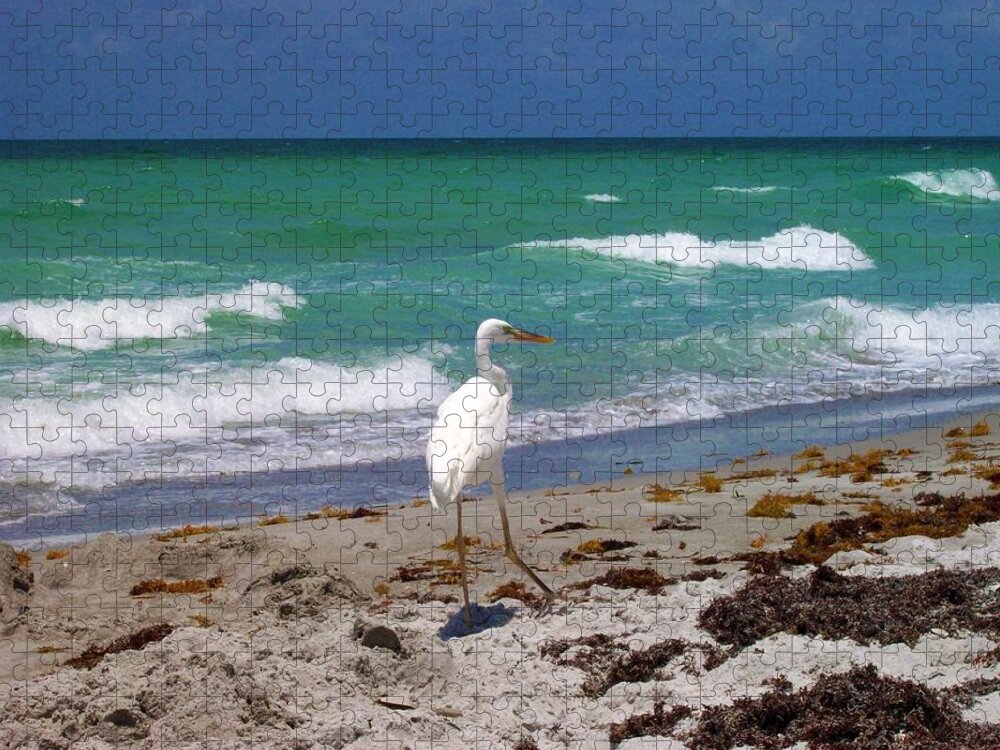 Beach Jigsaw Puzzle featuring the photograph A Walk In Long Boat Key by Megan Ford-Miller