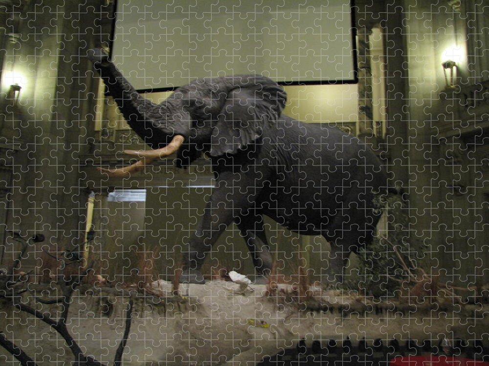 African Bull Elephant Jigsaw Puzzle featuring the photograph African bull elephant by Keith Stokes