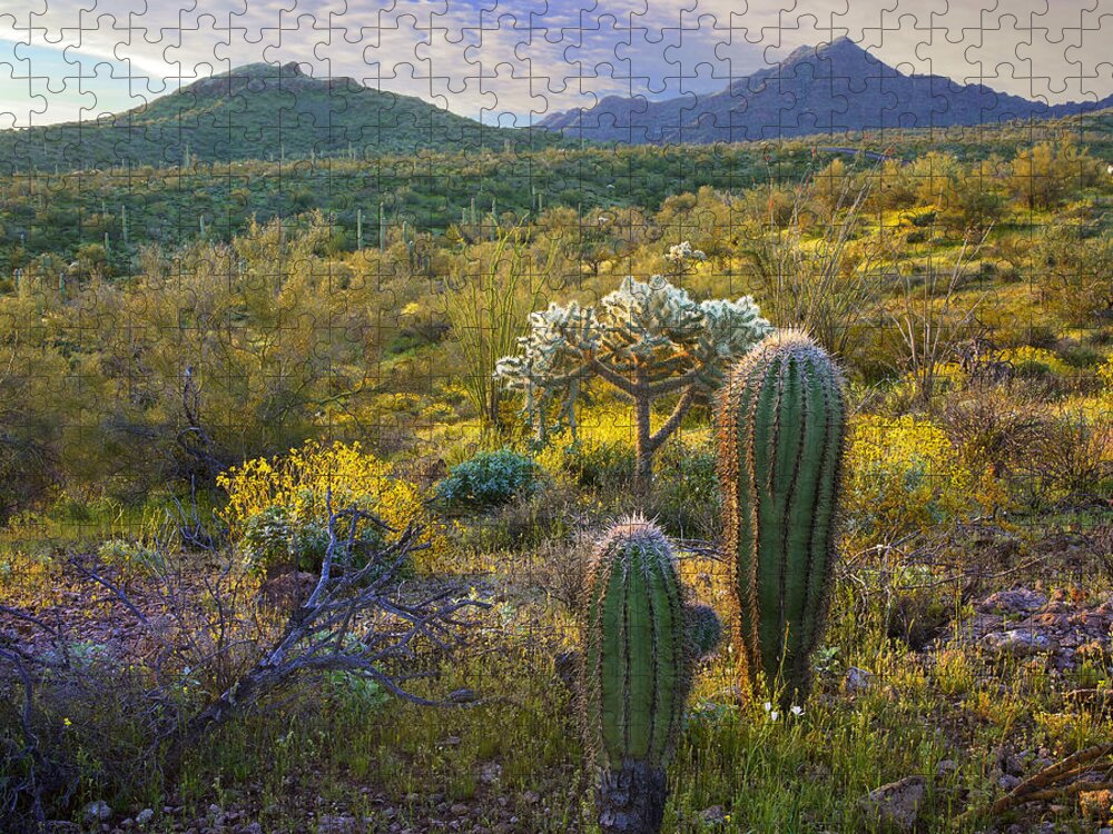 00175226 Jigsaw Puzzle featuring the photograph Ajo Mountains Organ Pipe Cactus by Tim Fitzharris