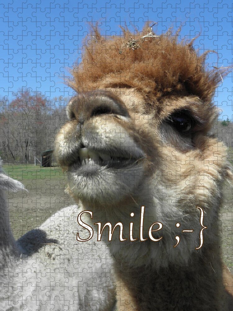 Alpaca Jigsaw Puzzle featuring the photograph Alpaca Smile by Kim Galluzzo