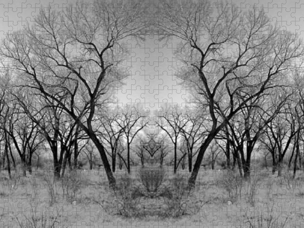 Landscape Jigsaw Puzzle featuring the photograph Altered Series - Bare Double by Kathleen Grace