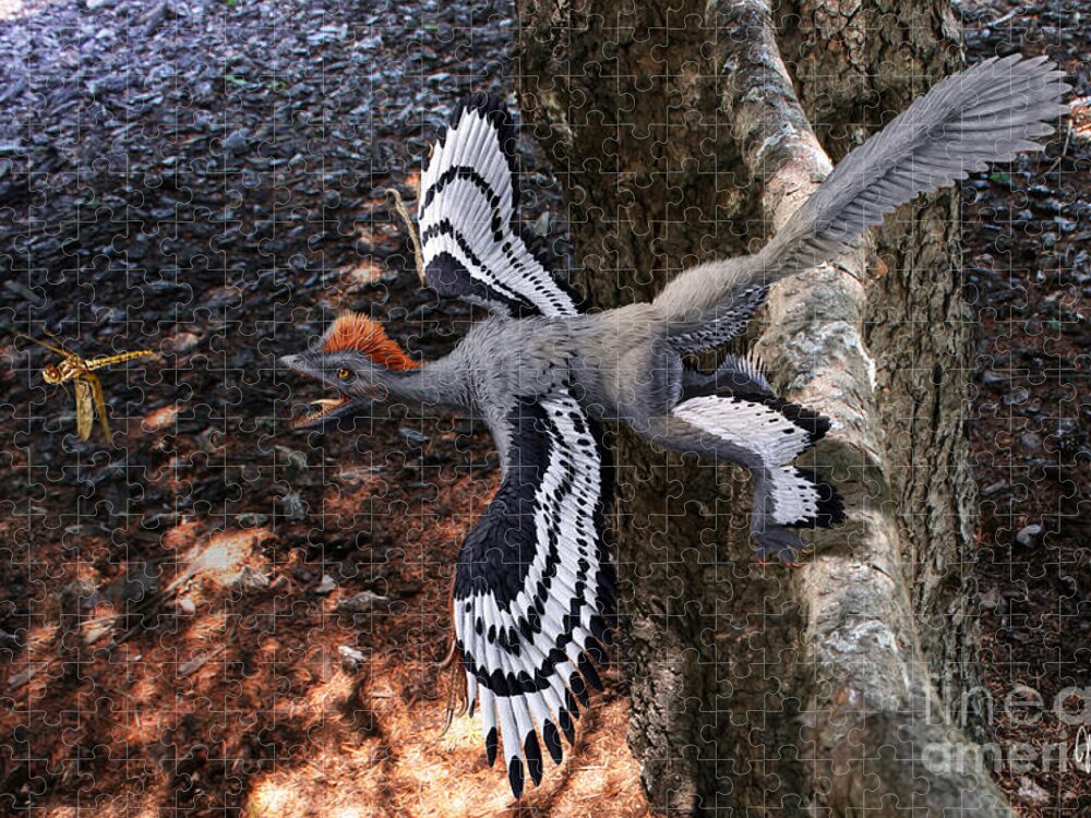 Paleoart Jigsaw Puzzle featuring the digital art Anchiornis huxleyi by Julius Csotonyi