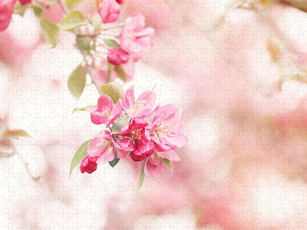 Bloom Jigsaw Puzzle featuring the photograph Apple Tree in Spring by Stephanie Frey