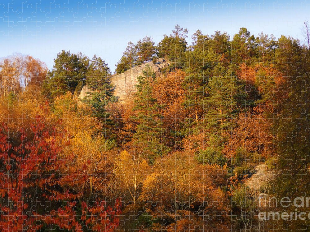 Autumn Jigsaw Puzzle featuring the photograph Autumn Forever by Lutz Baar