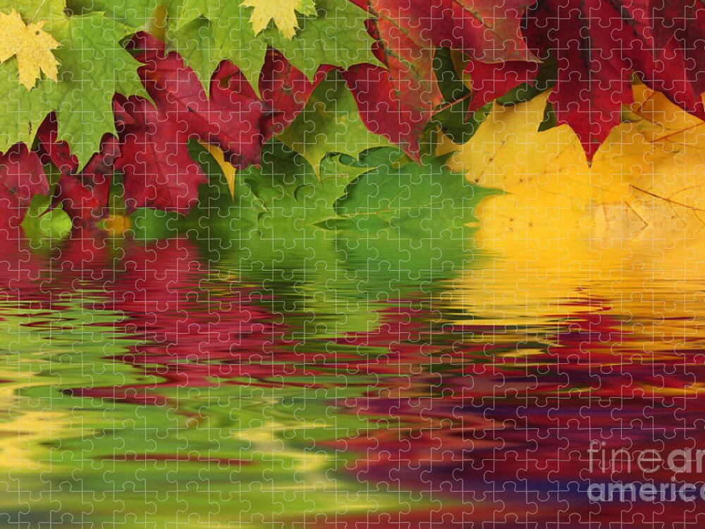 Leaves Jigsaw Puzzle featuring the photograph Autumn leaves in water with reflection by Simon Bratt