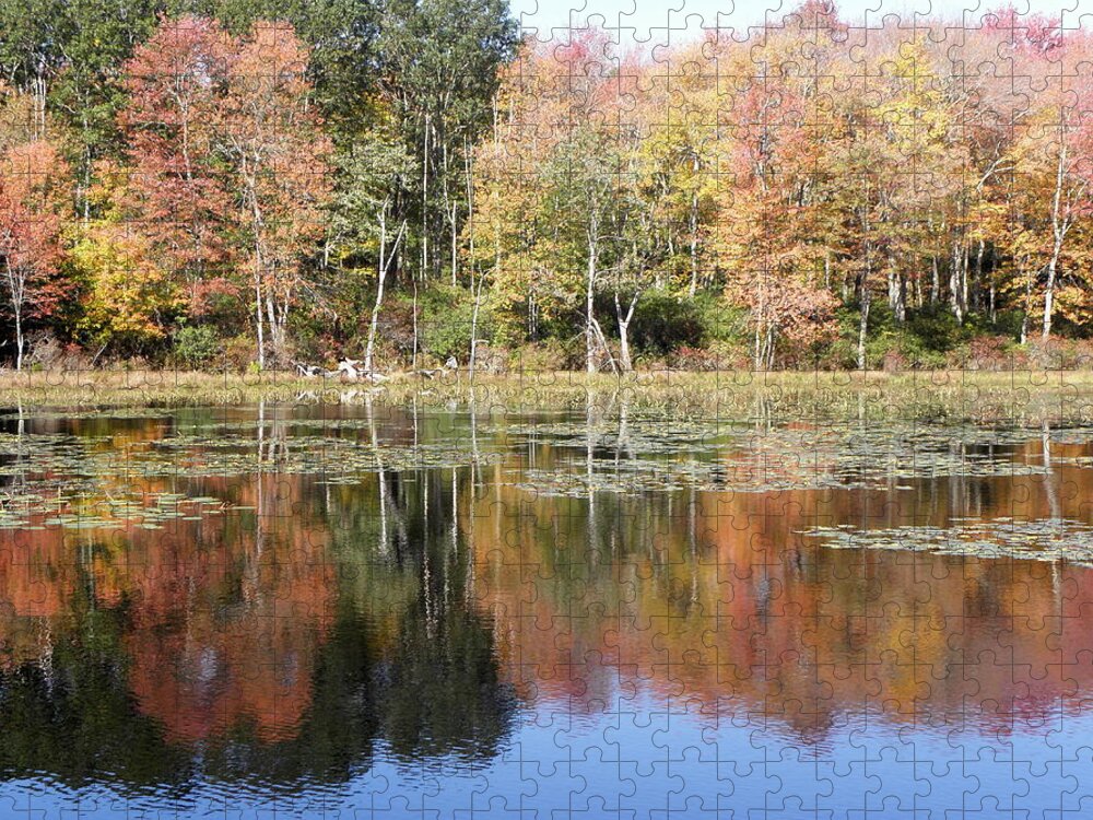 Autumn Jigsaw Puzzle featuring the photograph Autumn reflections by Kim Galluzzo
