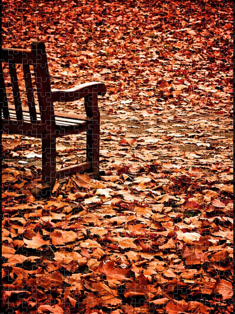 Autumn Jigsaw Puzzle featuring the photograph Autumnal Colours by Lenny Carter